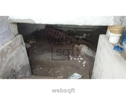 Shop-Mulgi for Rent